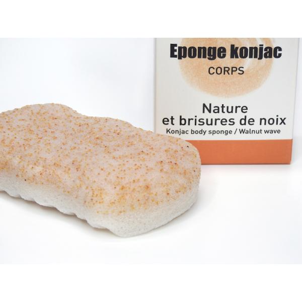 eponge konjac corps