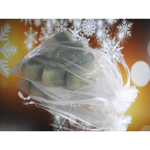 Savon Délice de Noël - Sapin