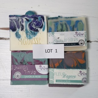 lot 1 déclassé
