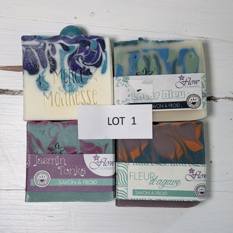 lot 1 déclassé