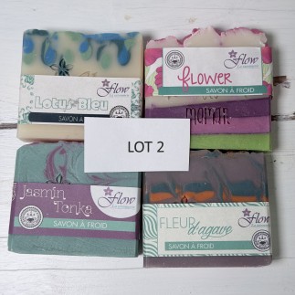 lot 2 déclassé