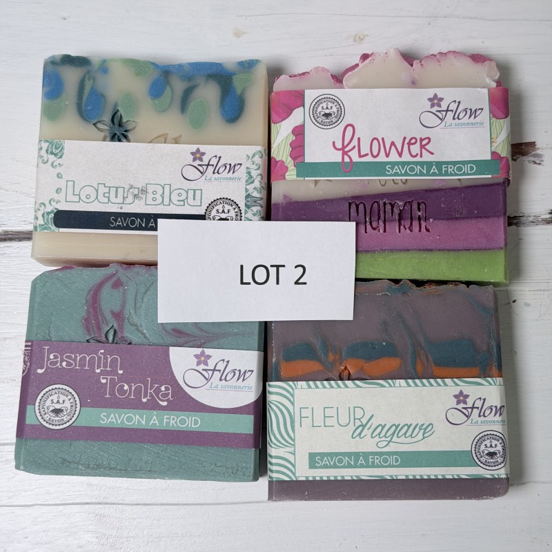 lot 2 déclassé