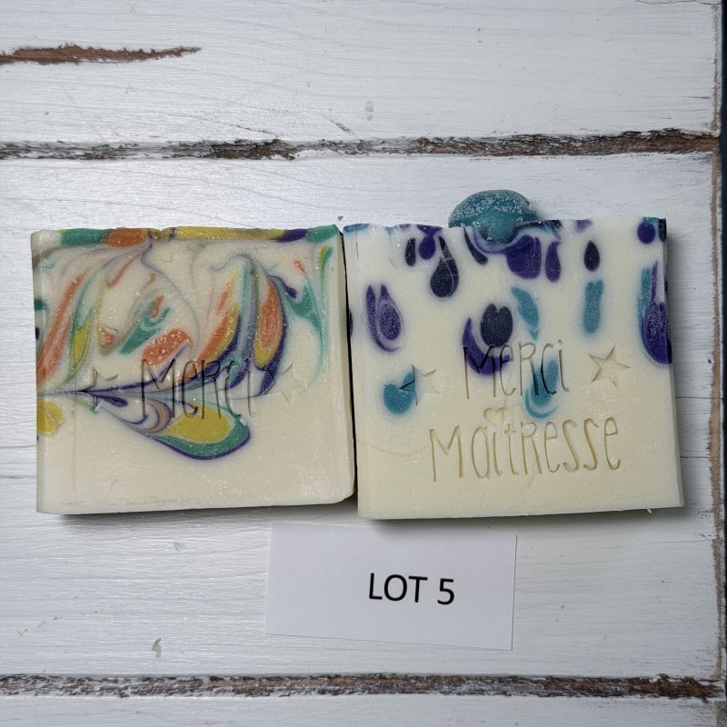 lot 5 déclassé