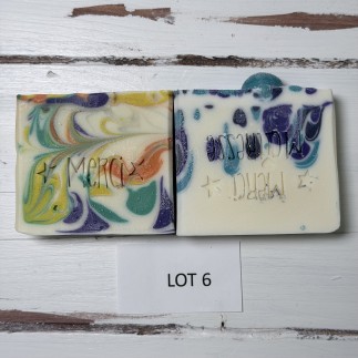 lot 6 déclassé