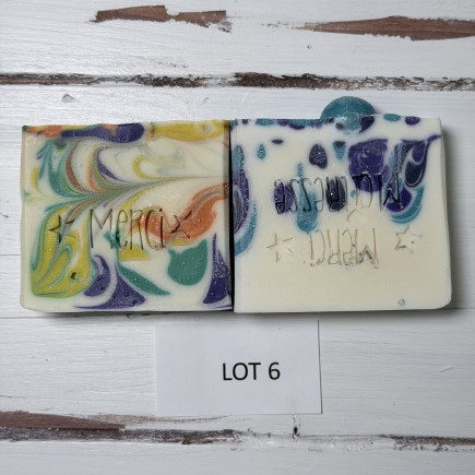 lot 6 déclassé