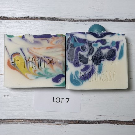 lot 7 déclassé