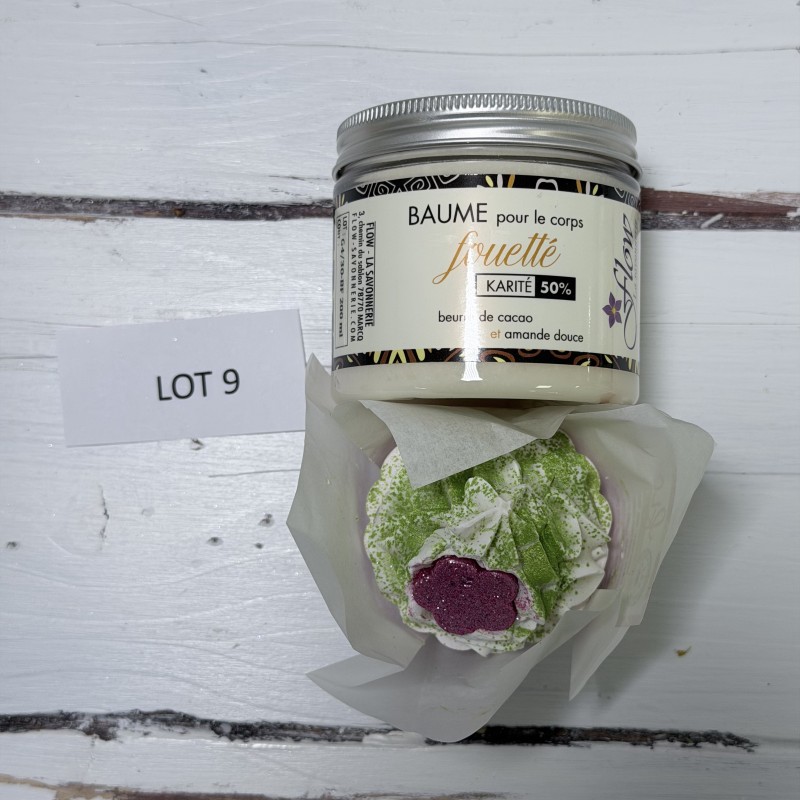 lot 9 déclassé