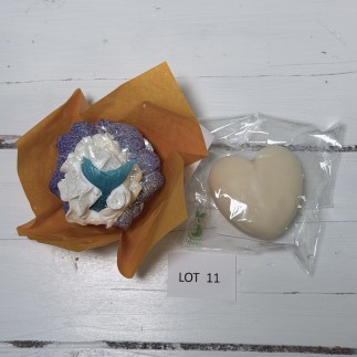 lot 11 déclassé
