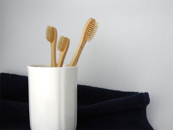 brosse à dents écologique