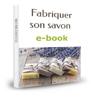 fabriquer son savon e-book en pdf