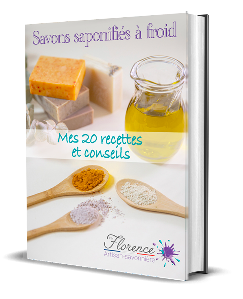 Mes recettes de savon en pdf